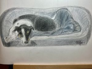 Coloured pencil drawing of my dog, Maggie. October 2023